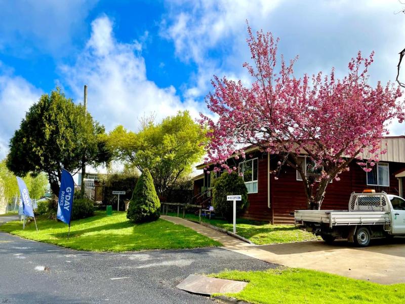 Jenolan Holiday Park - Oberon image