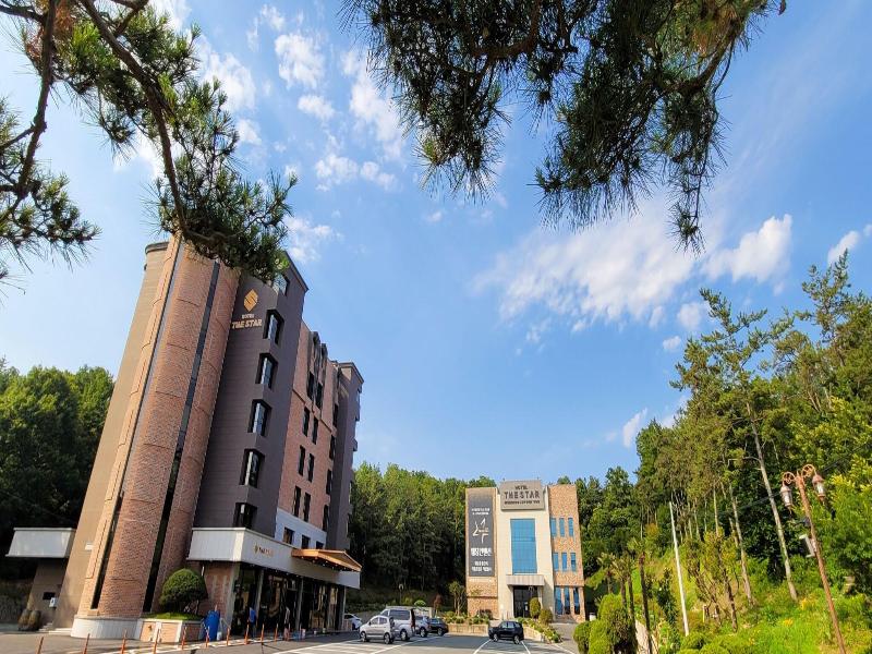 Hotel The Star