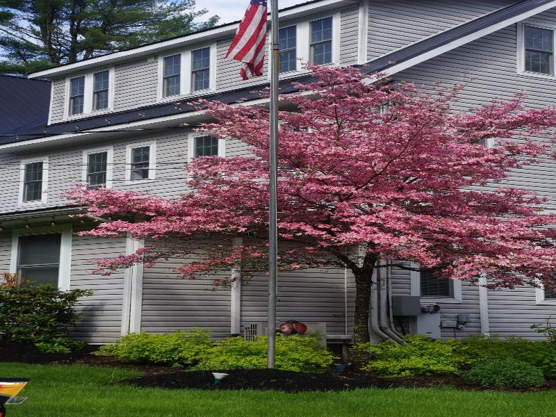 The Frogtown Inn image