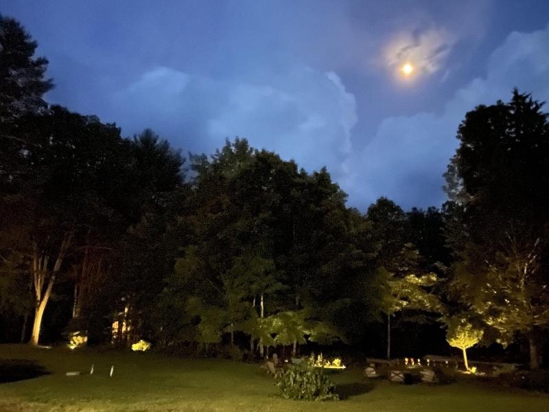 The Frogtown Inn image