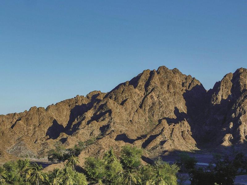 Al Bustan Palace, A Ritz-Carlton Hotel image