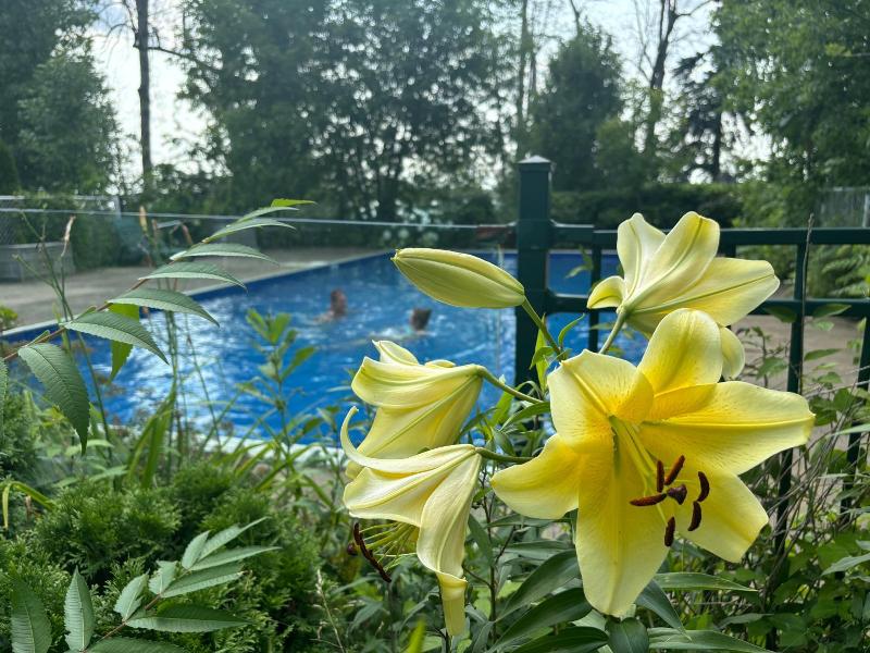 Motel Le Charentais — photo 10