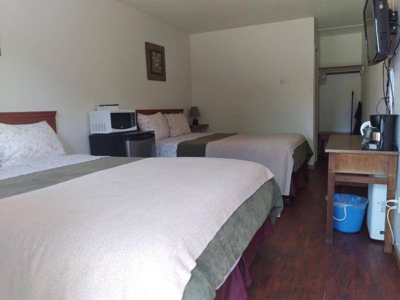 Dolphin Motel