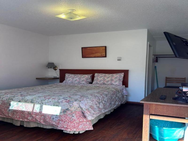 Dolphin Motel