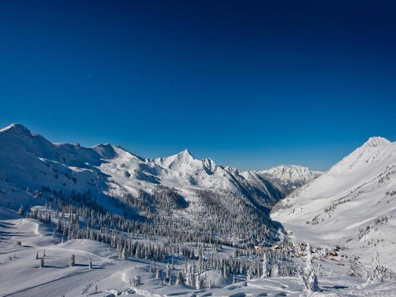 Alpengasthof Grimmingblick image