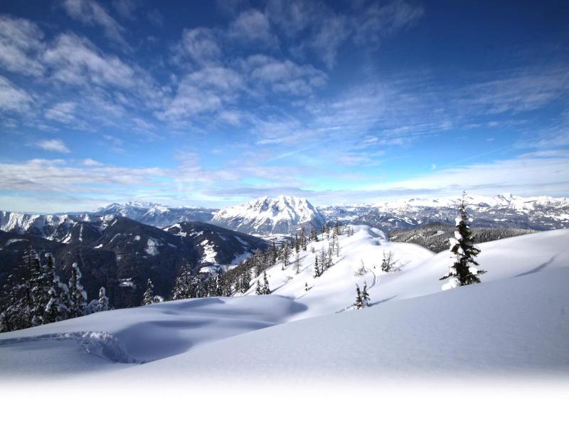 Alpengasthof Grimmingblick image