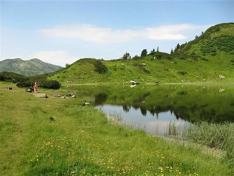 Alpengasthof Grimmingblick image