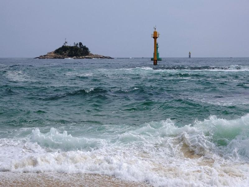 Cassia Sokcho