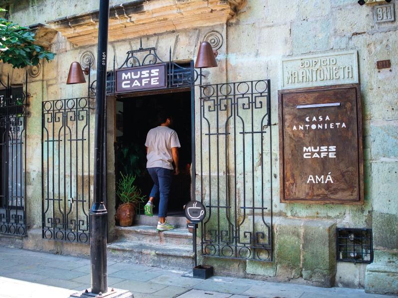 Casa Antonieta image