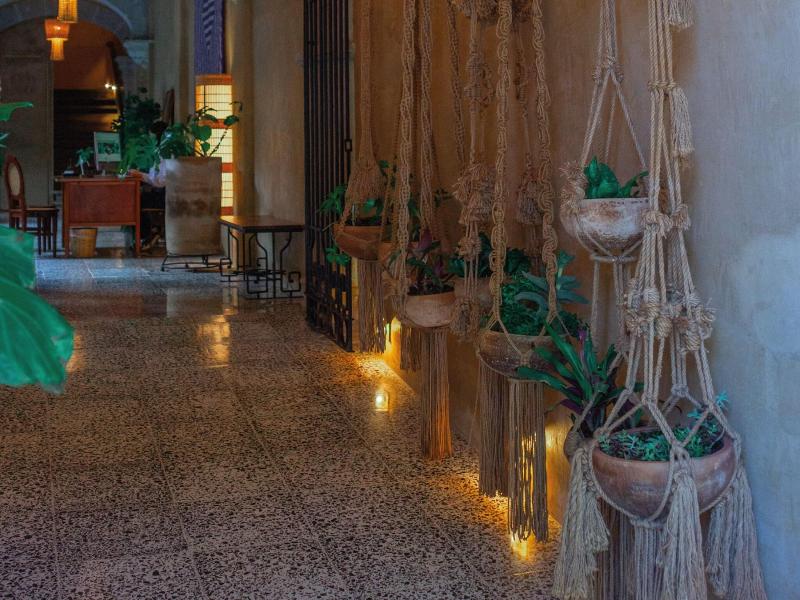 Casa Antonieta image