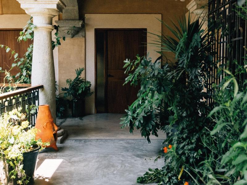 Casa Antonieta image