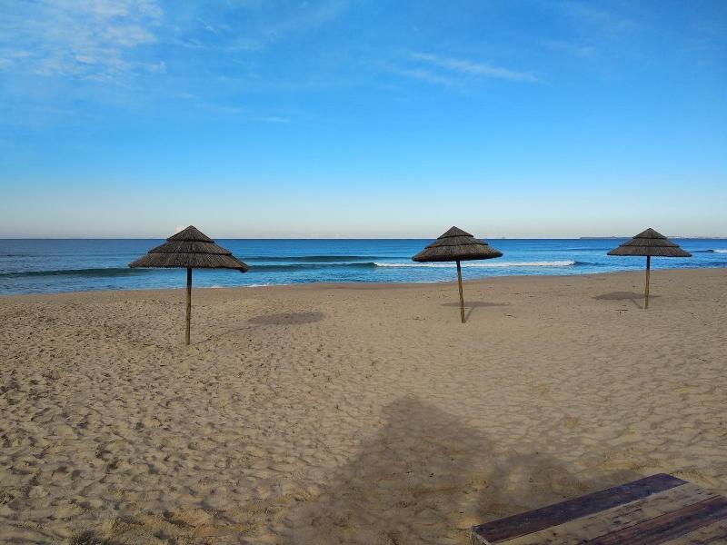 West Coast Surf Hostel image