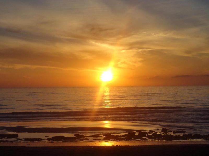 West Coast Surf Hostel image