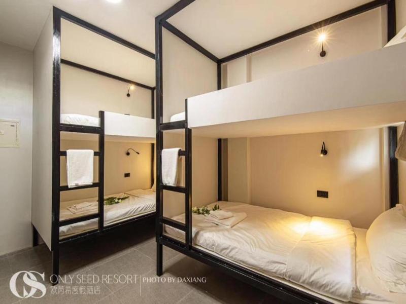 Only Seed Resort image