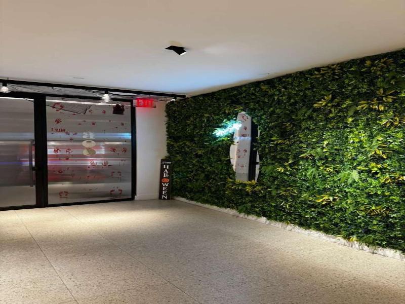 Nova Hotel Brooklyn image