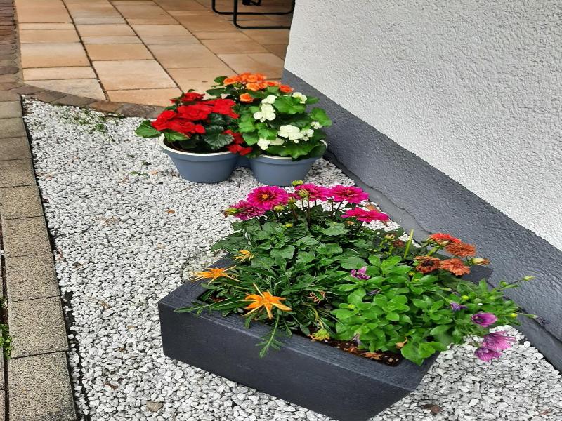 Berghotel Willingen image