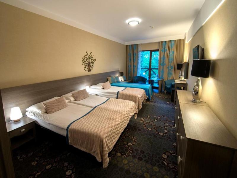 Hotel Europa Gornicza Strzecha image