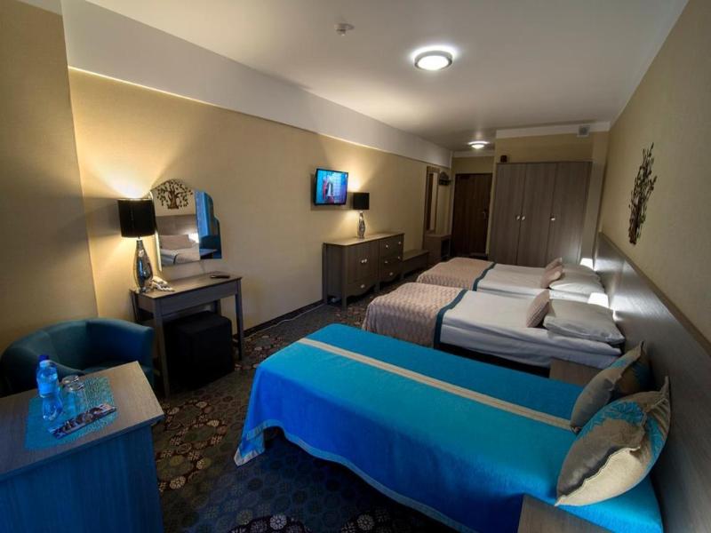 Hotel Europa Gornicza Strzecha image