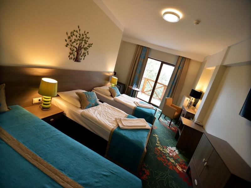 Hotel Europa Gornicza Strzecha image