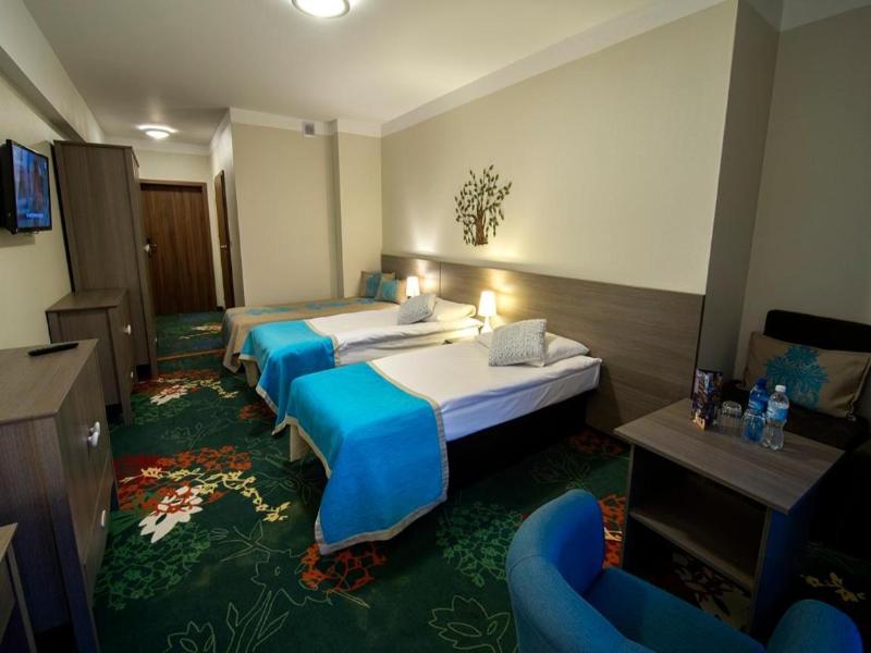 Hotel Europa Gornicza Strzecha image