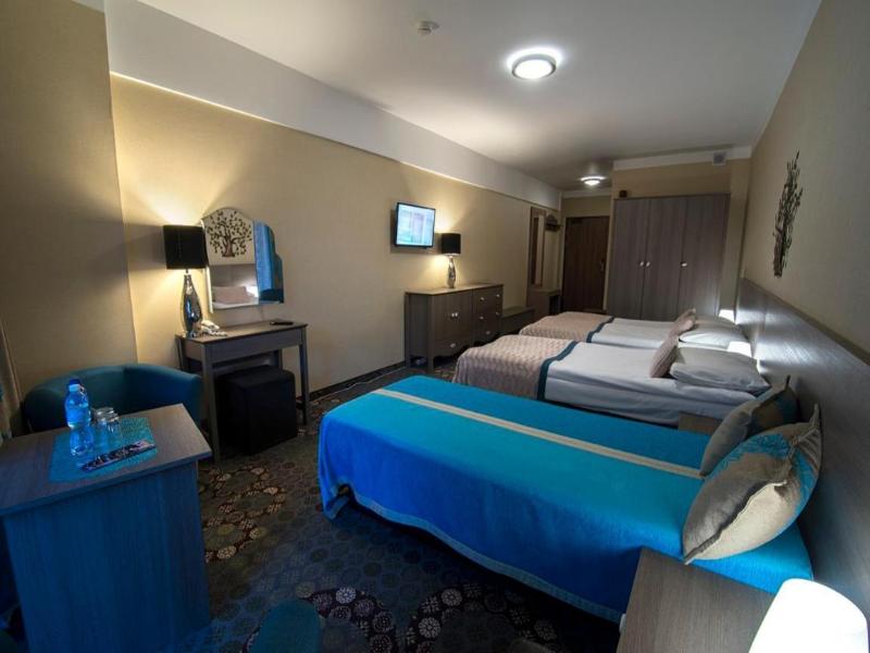Hotel Europa Gornicza Strzecha image