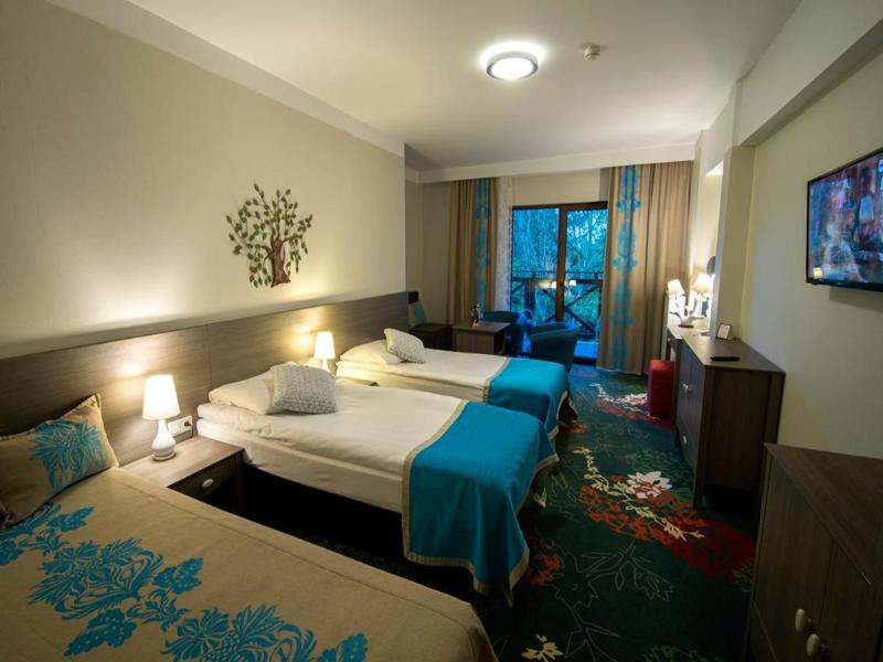 Hotel Europa Gornicza Strzecha image
