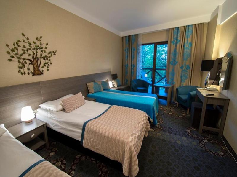 Hotel Europa Gornicza Strzecha image