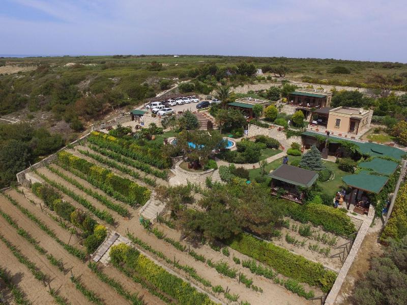 Ada Bacchus Hotel image