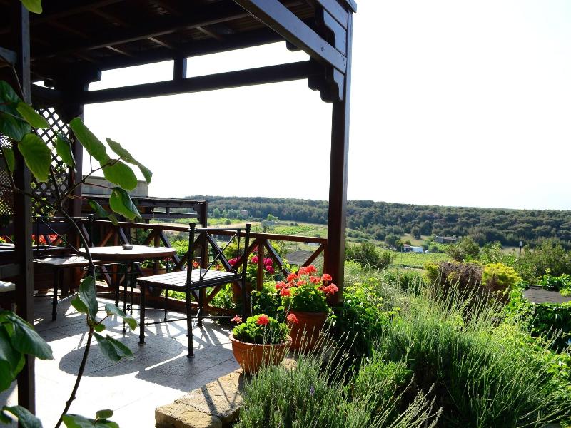 Ada Bacchus Hotel image
