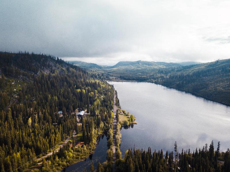 Chute Lake Lodge image