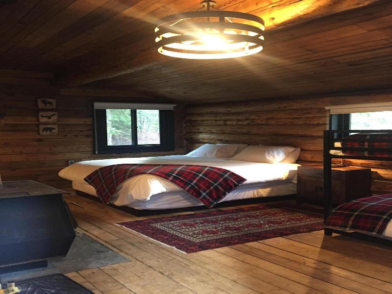 Chute Lake Lodge image