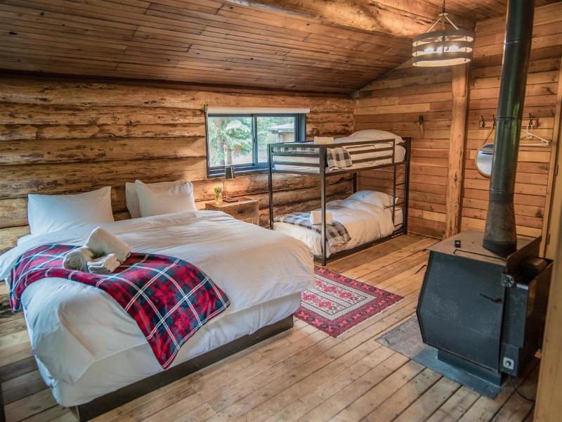Chute Lake Lodge image
