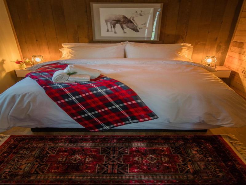 Chute Lake Lodge image