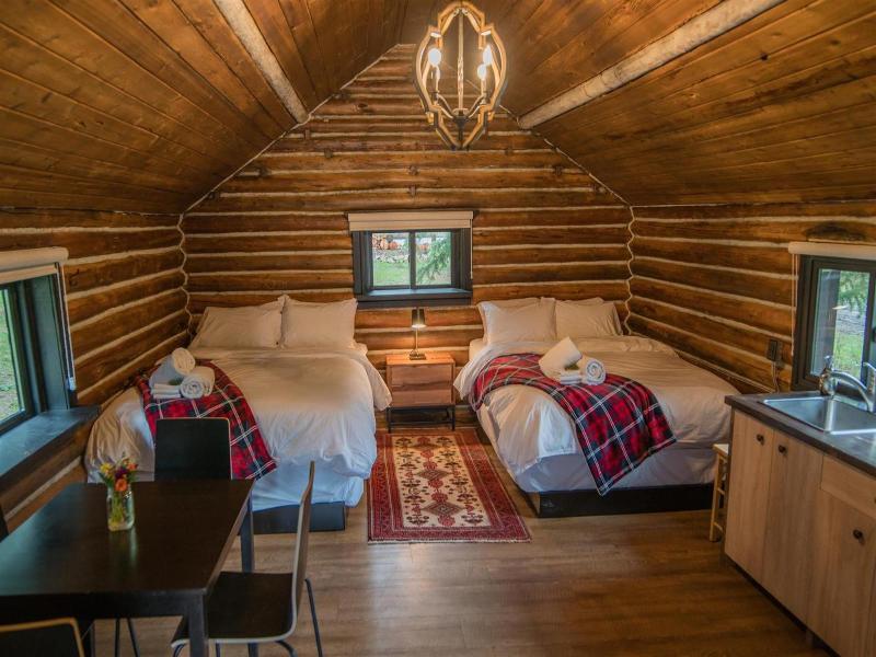 Chute Lake Lodge image