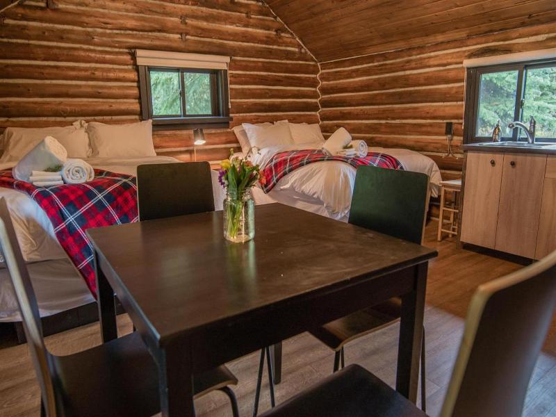 Chute Lake Lodge image