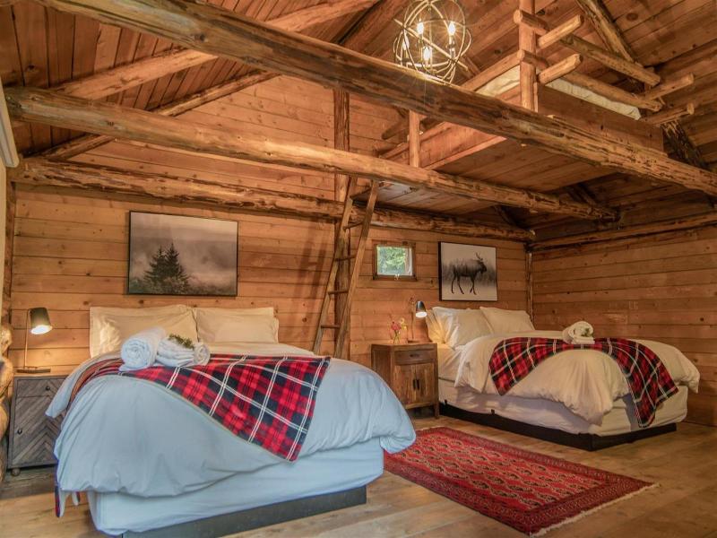 Chute Lake Lodge image