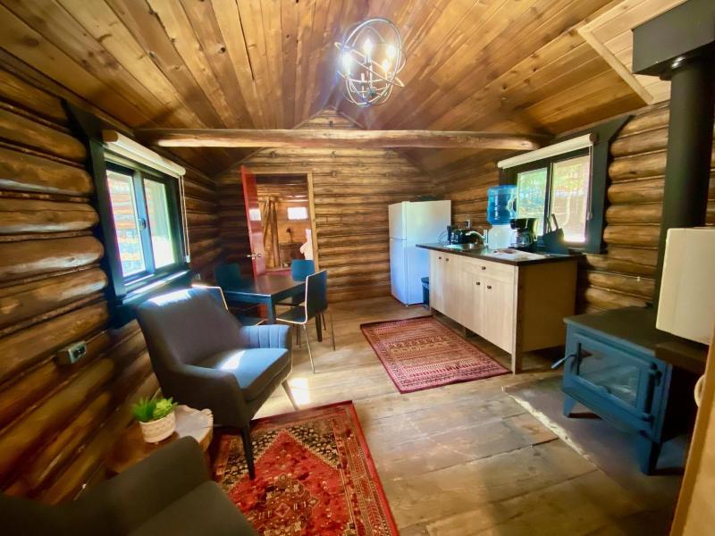 Chute Lake Lodge image