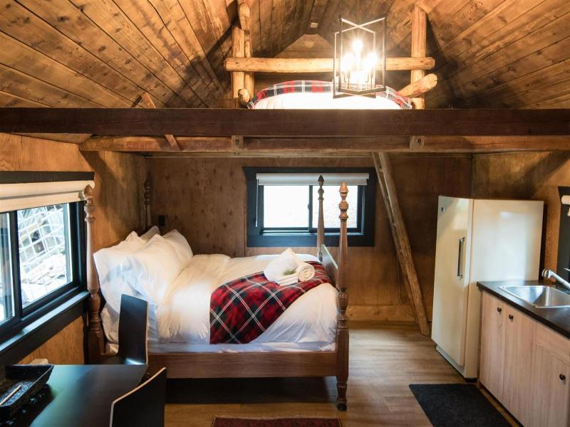 Chute Lake Lodge image