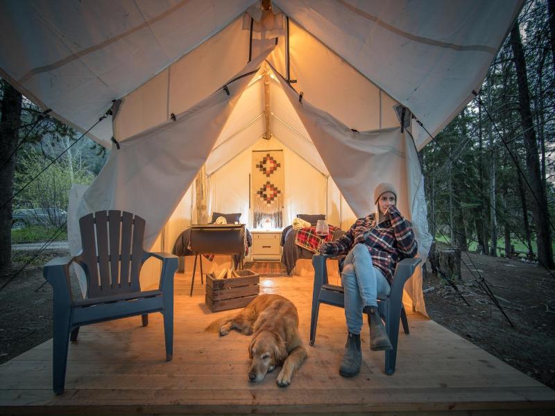 Chute Lake Lodge image