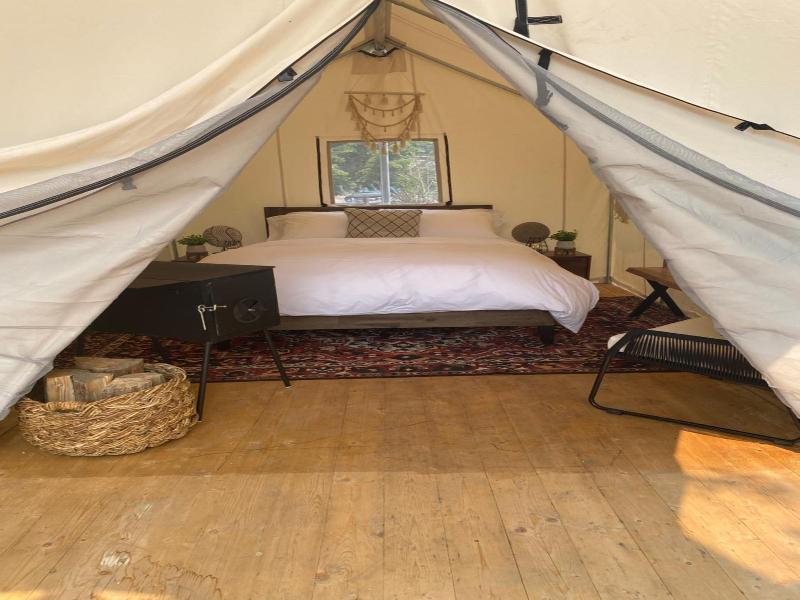 Chute Lake Lodge image