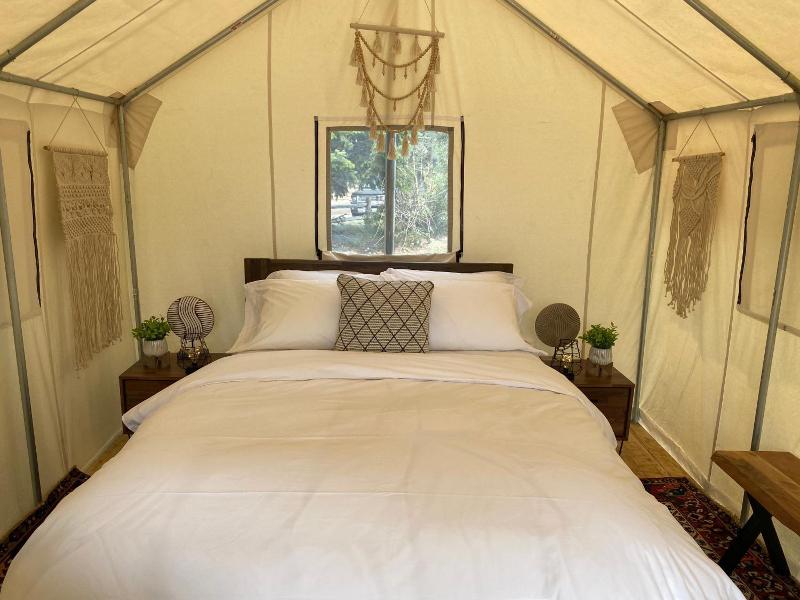 Chute Lake Lodge image