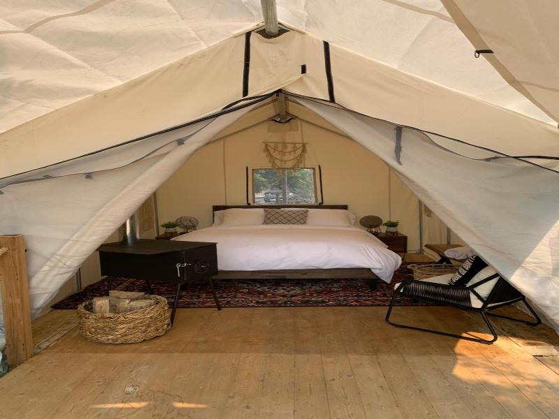 Chute Lake Lodge image