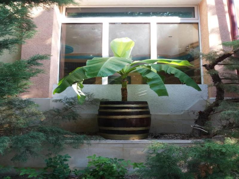Vida Family Hotel image
