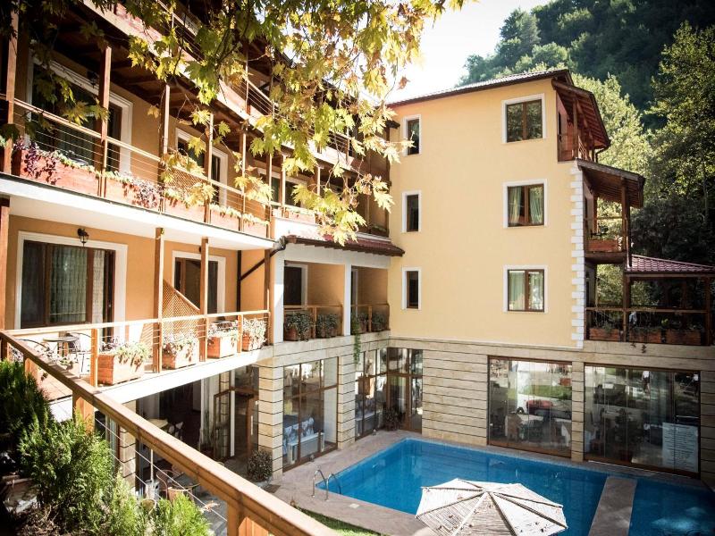 Hotel Saint Nedelya image