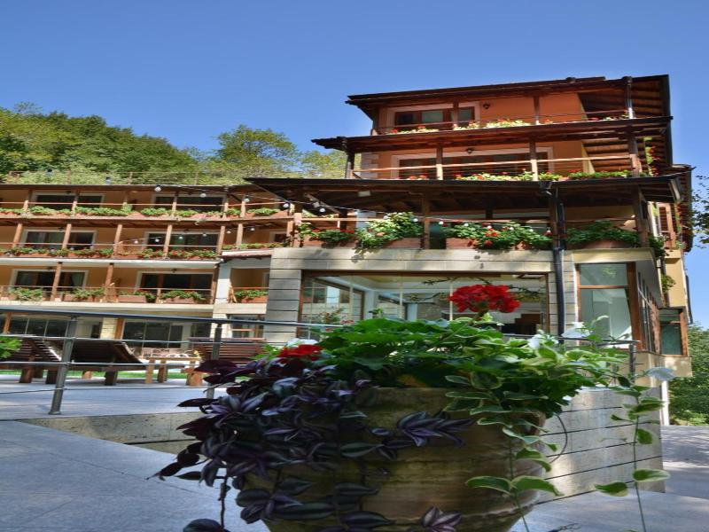 Hotel Saint Nedelya image
