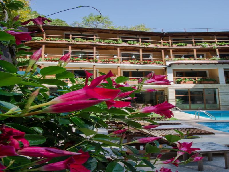 Hotel Saint Nedelya image