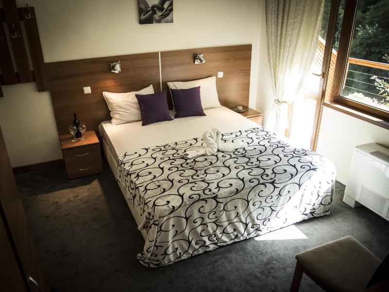 Hotel Saint Nedelya image