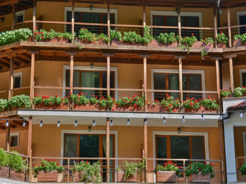 Hotel Saint Nedelya image