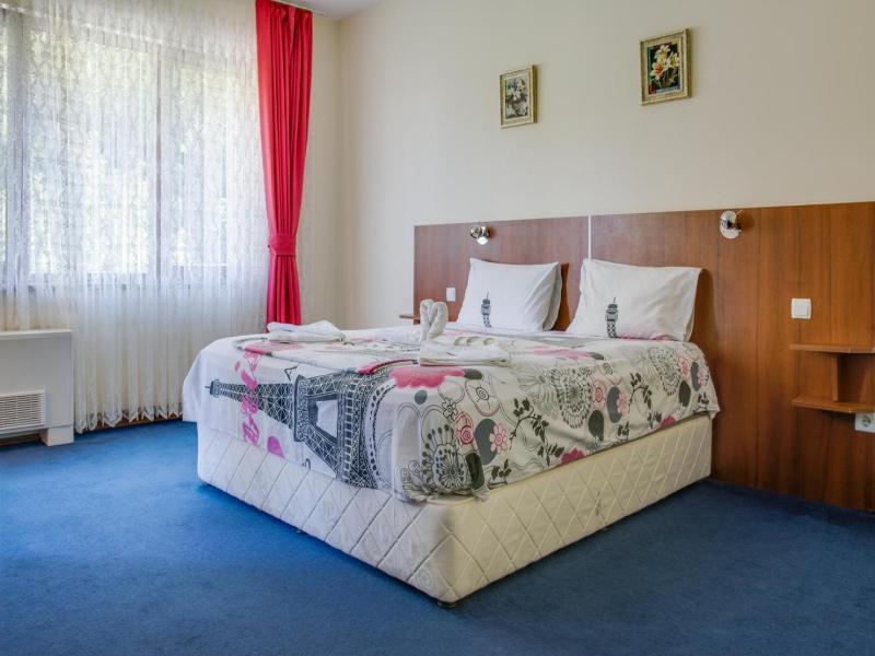 Hotel Saint Nedelya image