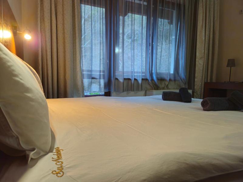 Hotel Saint Nedelya image